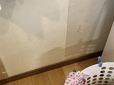 %e5%86%99%e7%9c%9f-2025-09-27-15-03-00