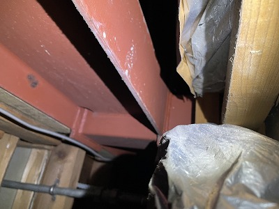 %e5%86%99%e7%9c%9f-2025-10-06-13-45-58